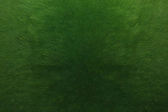 A Green Carpet with Many Small Lines: A Versatile Design Element for Creative Projects