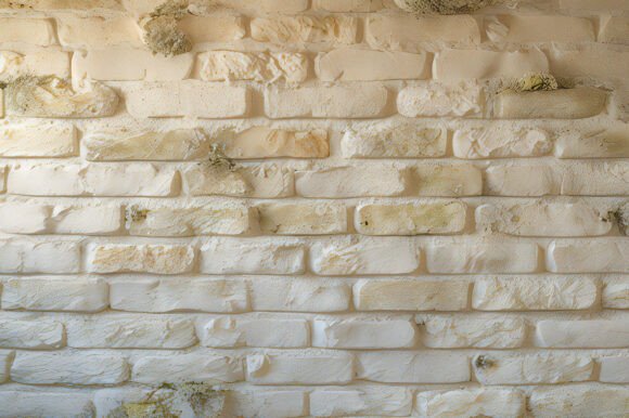 A White Brick Wall with Moss Growing